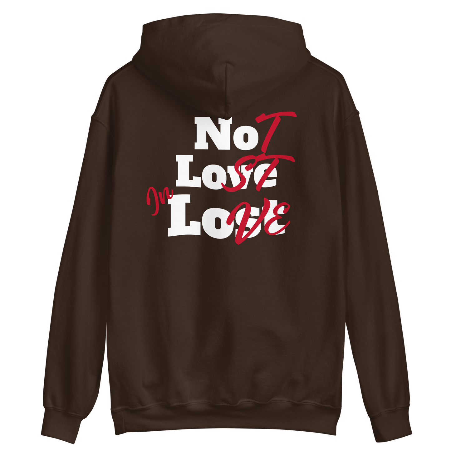 VanAlstein not lost Hoodie